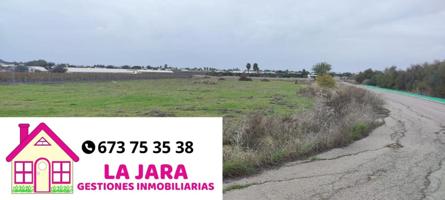 TERRENO DE 6.800M2 EN PAGO LLANO, CHIPIONA photo 0