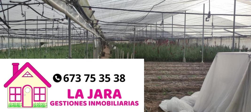 MAGNÍFICA FINCA EN PAGO LOPINA, CHIPIONA. photo 0