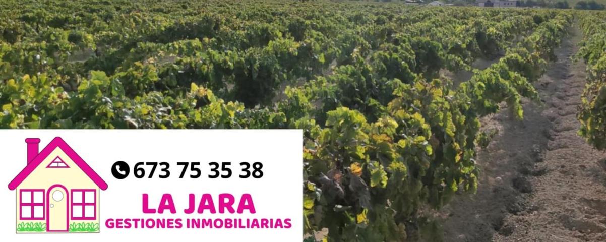 SE VENDE FINCA DE VIÑA photo 0
