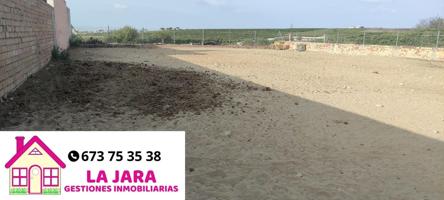 PARCELA EN CAMINO SEVILLA photo 0