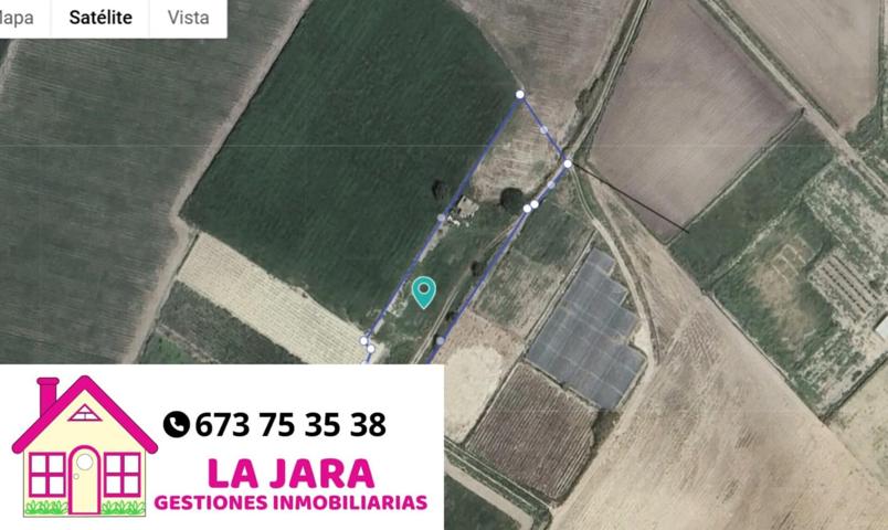 FINCA IDEAL PARA CULTIVO EN EL PAGO DE LA ALEGRÍA photo 0