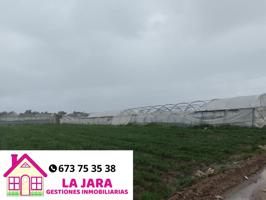FINCA CON INVERNADERO EN CHIPIONA photo 0