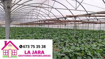 PARCELA CON INVERNADEROS INCASA EN PUNTA DEL ÁGUILA photo 0