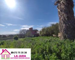 PARCELA CON AGUA EN LA JARA photo 0