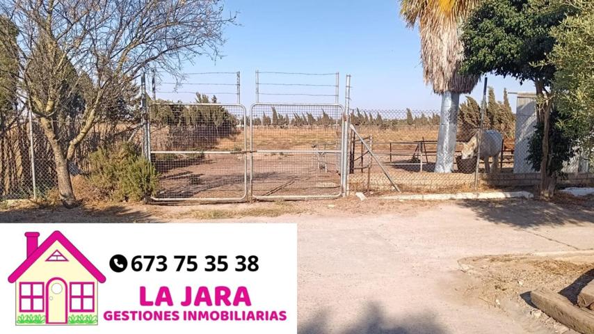 FINCA IDEAL PARA CABALLOS photo 0