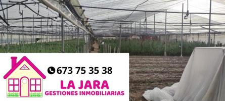 INVERNADERO PARA ARRENDAR photo 0