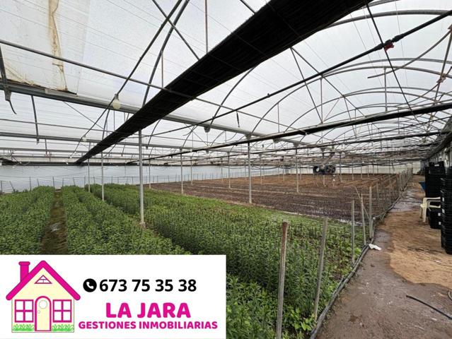 TERRENO CON ESCRITURAS PROPIAS, LUZ Y AGUA photo 0