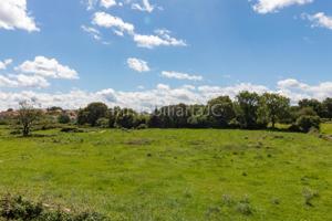 TERRENO RUSTICO ARGOÑOS - SOLEADO - 1850M2 photo 0