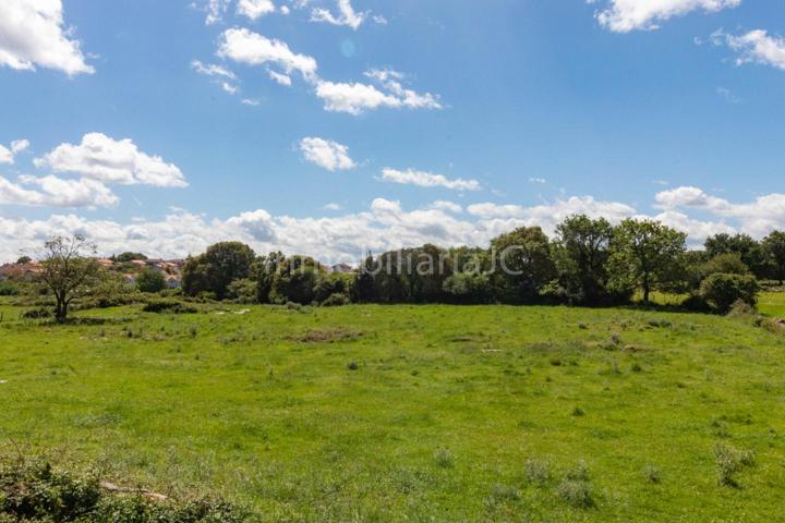 TERRENO RUSTICO ARGOÑOS - SOLEADO - 1850M2 photo 0