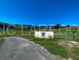 4 PARCELAS - DESDE 55.000€ y 4.000m2 photo 0