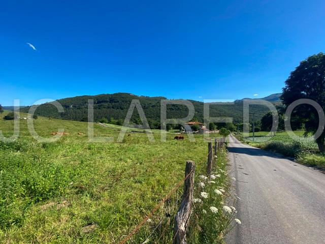 4 PARCELAS - DESDE 55.000€ y 4.000m2 photo 0