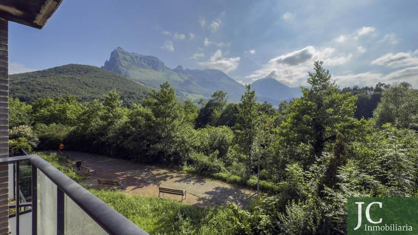 PISO DE 2 HABITACIONES EN RAMALES - PISCINA photo 0