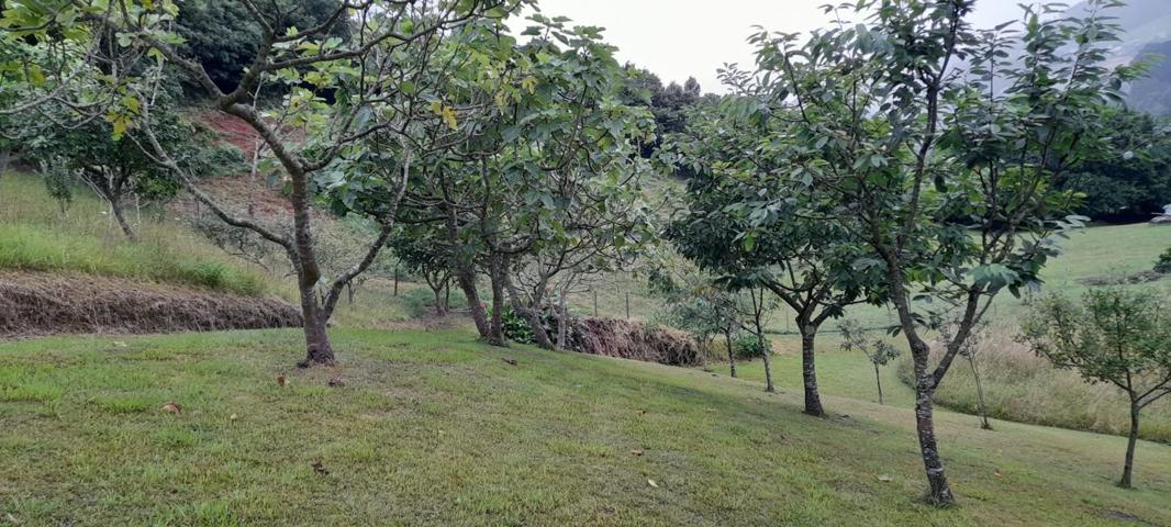 ALTO DE LAREDO - VISTAS - CABAÑA - 5870 M2 photo 0