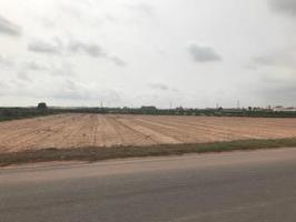 Terreno agrario sin plantación de 11.057m2 Foios(Valencia) acceso directo carretera.Precio 60.000€ photo 0