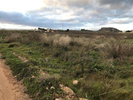 Se vende campo rústico de uso agrario en Naquera(Valencia) sin cultivo. Acciones Motor.Precio: 34.000€ photo 0