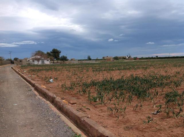 Venta finca rústica de uso agrario en la huerta de Moncada(Valencia),22.230m2, vivienda, picadero, y 6 boxes para caballos. Precio: 279.800€ photo 0