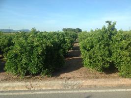 Terreno rústico en venta en Albalat dels Sorells (Valencia) de 5.039m2 acceso directo a una carretera. Precio: 20.280€ photo 0
