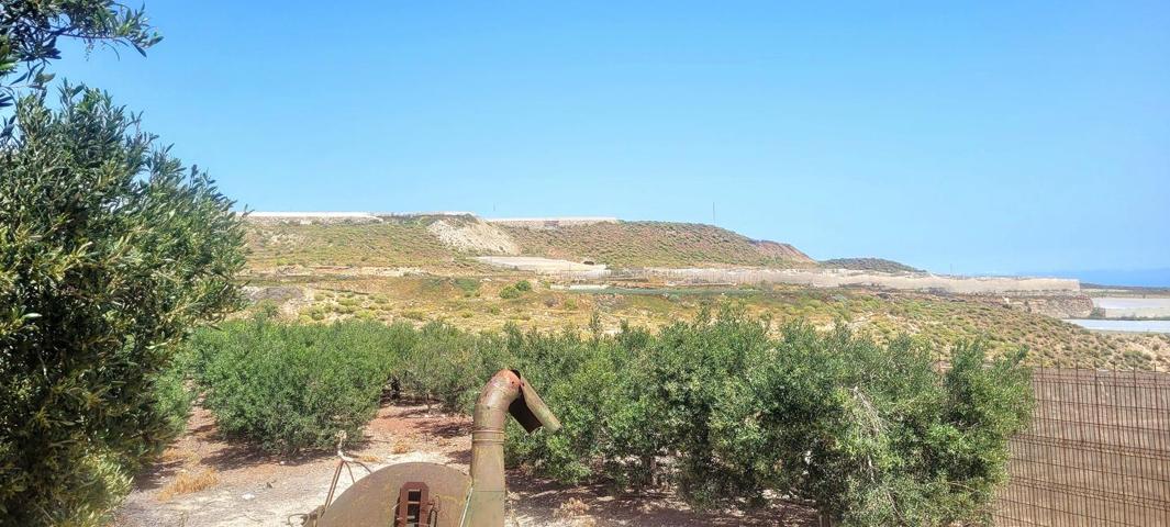 Finca de Agricultura con casa y cueva photo 0