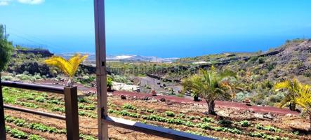 Finca con varias casas en Chio photo 0