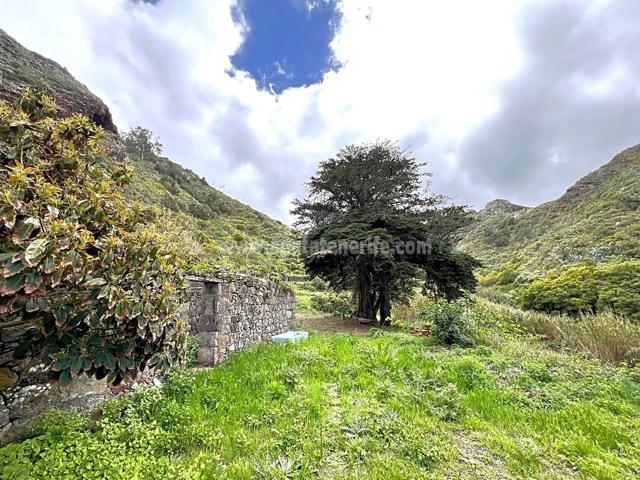 Terreno en venta en EL PALMAR de 75512 m2 photo 0