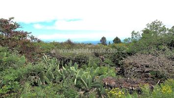 Terreno en venta en ICOD DE LOS VINOS de 6941 m2 photo 0