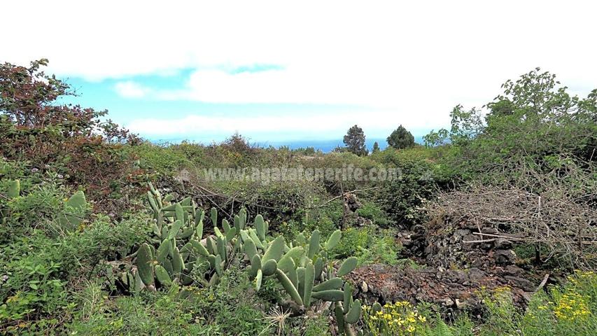 Terreno en venta en ICOD DE LOS VINOS de 6941 m2 photo 0