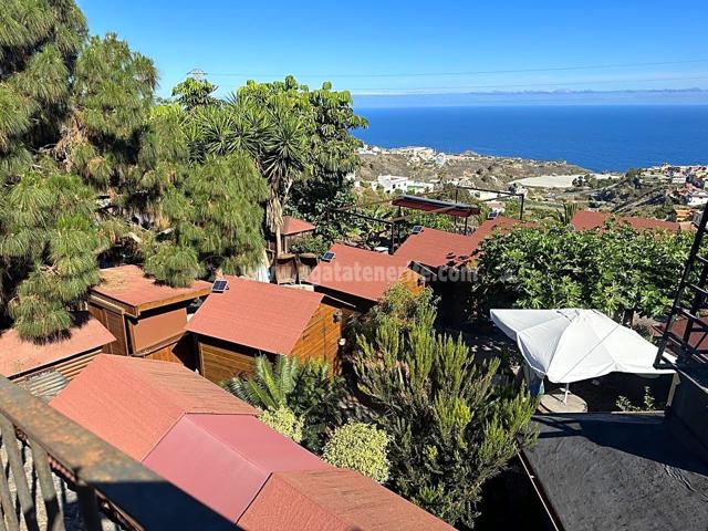 Restaurante promocionado en una superficie de 2500 m2 en La Guancha en el norte de Tenerife. photo 0