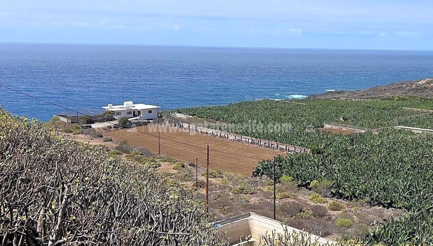 Venta de casa frente al mar y plantaciones de banano en Buenavista del Norte photo 0