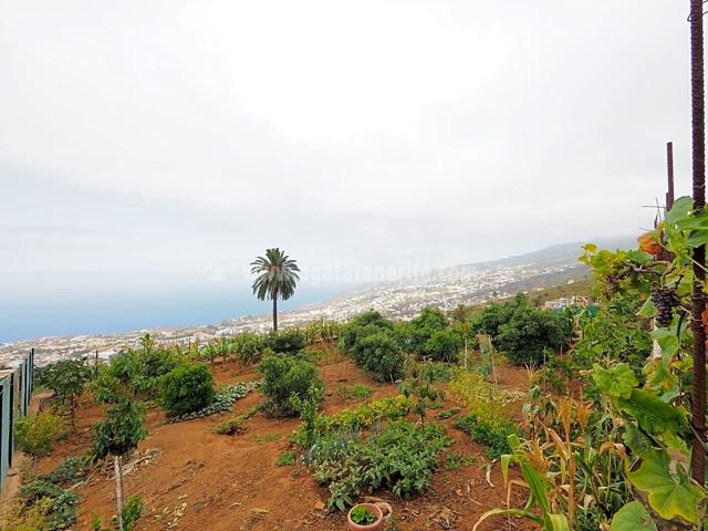 Finca Rústica en venta en SANTA URSULA de 971 m2 photo 0