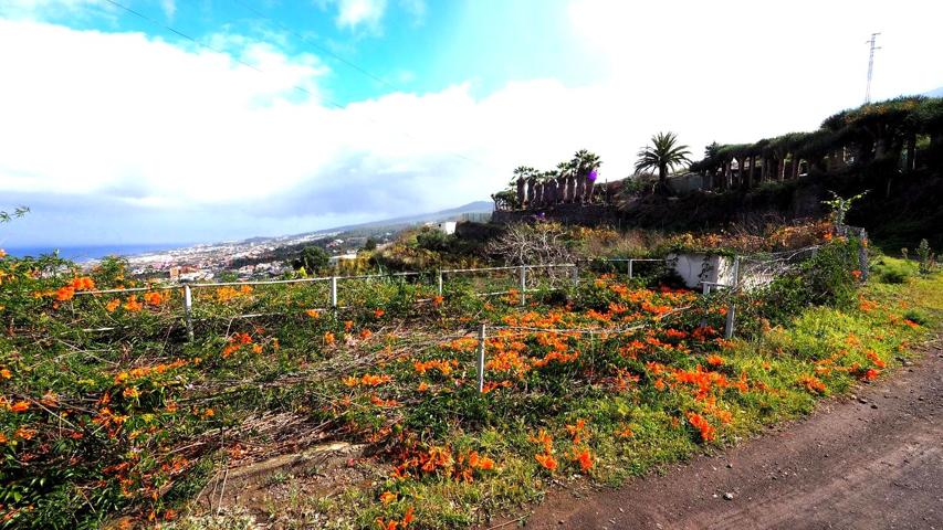 Terreno en venta en ICOD DE LOS VINOS de 859 m2 photo 0