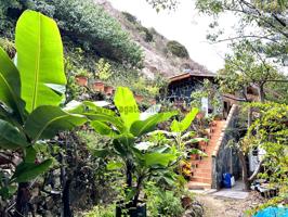 BIO FINCA - LA GOMERA photo 0