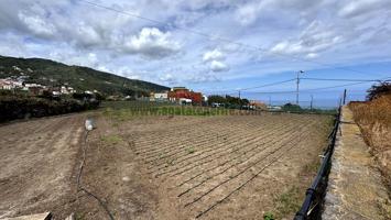 Terreno en venta en ICOD DE LOS VINOS3 de 4919 m2 photo 0