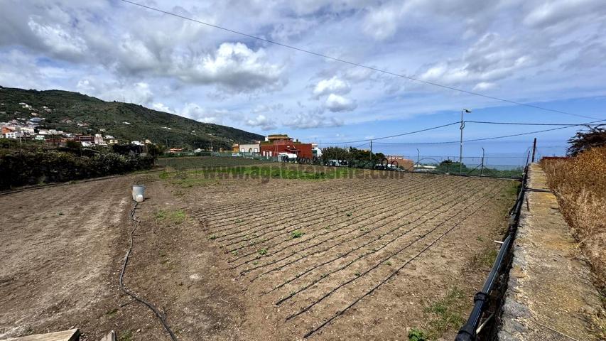 Terreno en venta en ICOD DE LOS VINOS3 de 4919 m2 photo 0