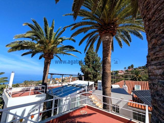 Casa - Chalet en venta en LA VICTORIA DE ACENTEJO de 227 m2 photo 0