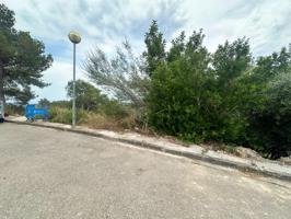 Oportunidad Única: Solar con Vista al Mar en Valldemar photo 0