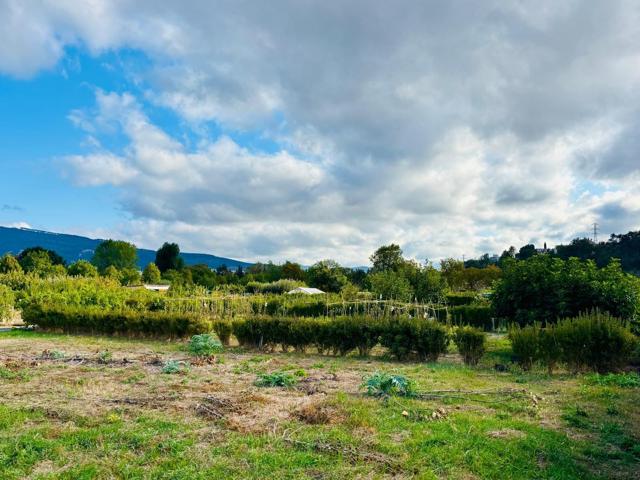 Se vende huerta de recreo en Jardines del Arga – Pamplona 🌿 photo 0