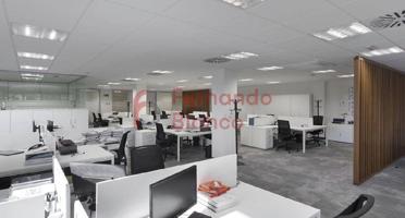 Oficina en Derio Bizkaia photo 0