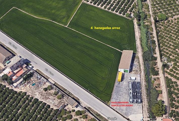 SE VENDE PARCELA-SECADERO + CAMPO 4 HANEGADAS DE ARROZ + NAVE-GRANERO photo 0
