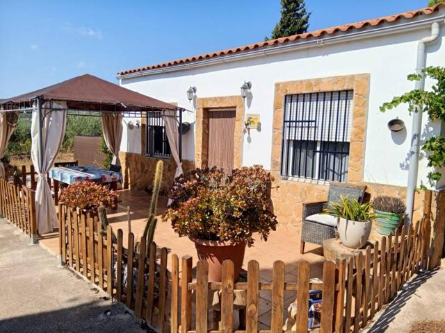 VIVIENDA Y TERRENO RÚSTICO 4.328 m² de cultivo,en Calles. photo 0