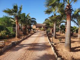 Casa de campo en Ses Salines photo 0