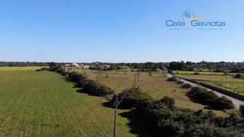 Terreno rústico con licencia cerca del pueblo de Ses Salines photo 0