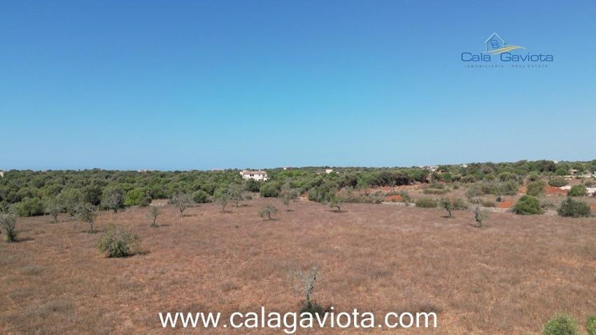 Terreno de 17.000 m2 con bonitas vistas photo 0