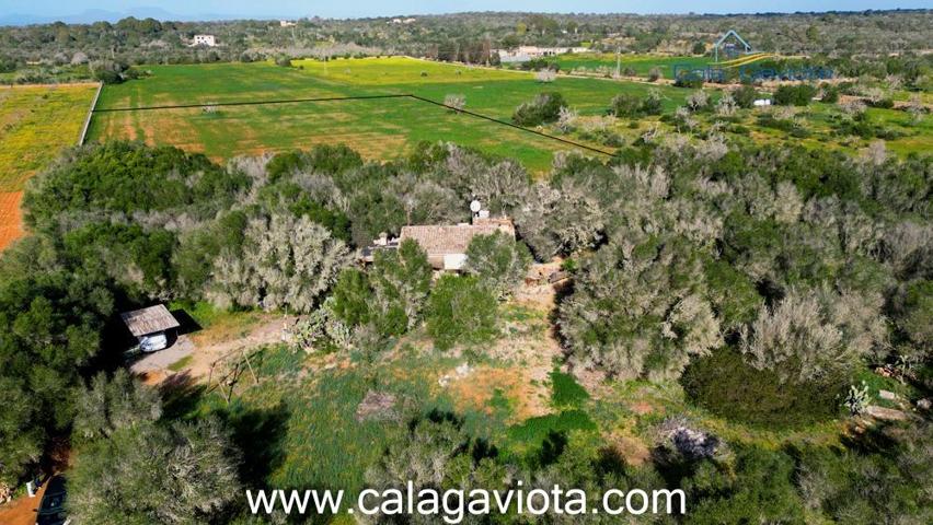 Finca en venta con encanto mallorquín en Ses Salines photo 0