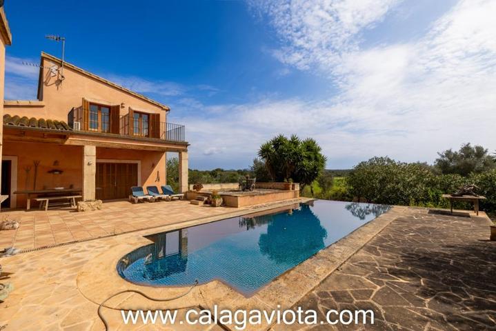 Encantadora casa de campo con piscina, pozo propio y vistas panorámicas en Ses Salines photo 0