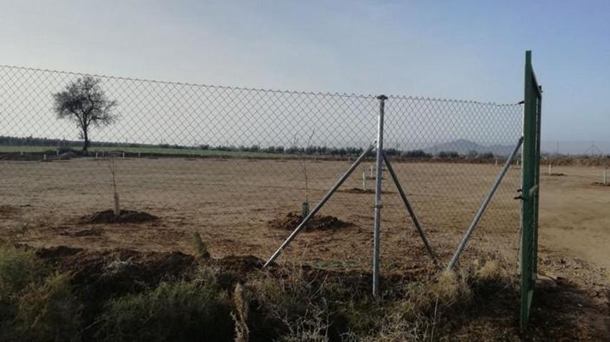 Parcela tipo Industrial photo 0