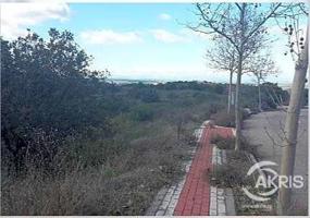Terreno en venta en Toledo de 2892 m2 photo 0