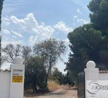 TERRENO ESPECIALMENTE PARA CAZA EN CASARRUBIOS DEL MONTE photo 0