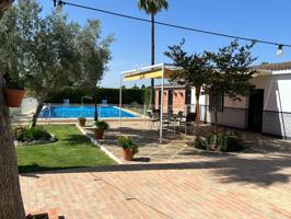 DESCUBRE TU PARAISO EN EL ALJARAFE SEVILLANO photo 0