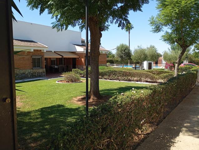 🏡 Oportunidad única en Villanueva del Ariscal – Finca rústica con vivienda, piscina y negocio activo de celebraciones photo 0