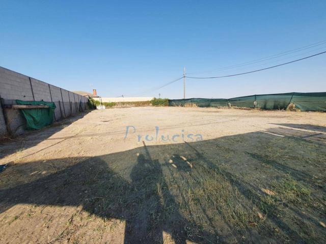 Alquiler de parcela urbana, también en venta photo 0